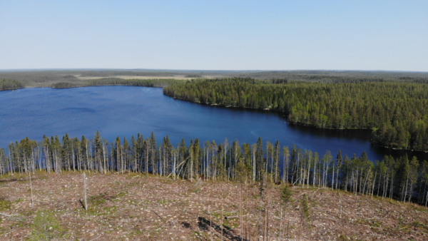 Keskustelu vesistöjen suojavyöhykkeiden leventämisestä on jo käynnistynyt raakkutuhon jälkipyykkinä. (Kuva: Sami Karppinen)