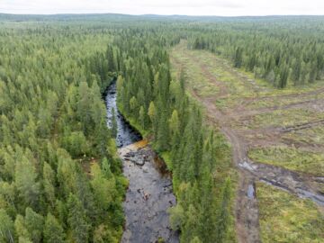 Metsäteollisuus ry:n jäsenyritykset sitoutuvat jättämään 50 metrin puustoisen suojavyöhykkeen raakkuvesien lähistöllä. Hukkajoella tämä ei vielä toteutunut. (Kuvaaja: Hannu Huttu)