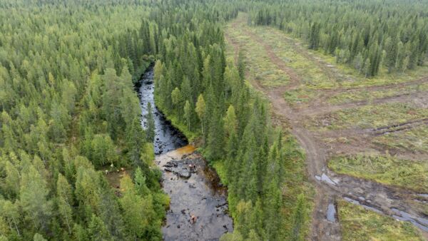 Metsäteollisuus ry:n jäsenyritykset sitoutuvat jättämään 50 metrin puustoisen suojavyöhykkeen raakkuvesien lähistöllä. Hukkajoella tämä ei vielä toteutunut. (Kuvaaja: Hannu Huttu)