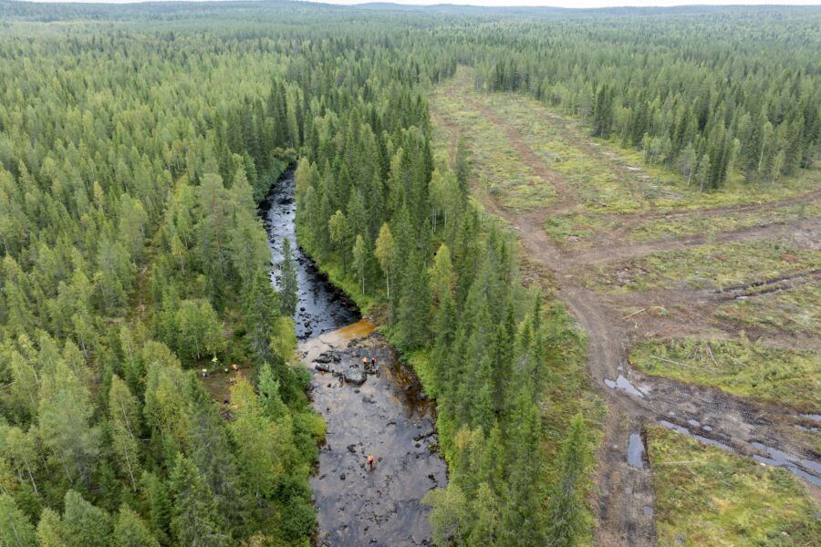 Metsäteollisuus ry:n jäsenyritykset sitoutuvat jättämään 50 metrin puustoisen suojavyöhykkeen raakkuvesien lähistöllä. Hukkajoella tämä ei vielä toteutunut. (Kuvaaja: Hannu Huttu)