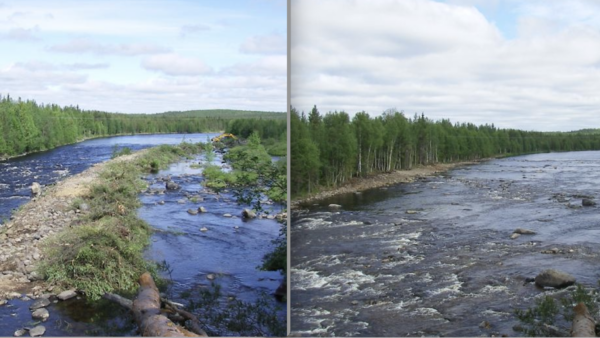 Ennen ja jälkeen. Metsähallitus täytti Kostonjoen Ylä-Siikakoskella vanhan uittorännin vuonna 2007, jolloin joki levisi alkuperäiseen leveyteensä. Kuva: Eero Moilanen / Pohjois-Pohjanmaan ympäristökeskus