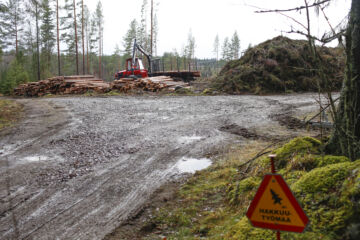 Metsänomistajat voivat helpottaa puunkorjuuta pitämällä leimikoille vievät tiet kunnossa. Muutaman vuoden takaisessa kuvassa metsätielle on ajettu kantavuutta parantavaa mursketta. (Kuvaaja: Sami Karppinen)