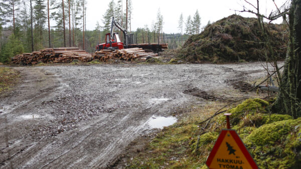 Metsänomistajat voivat helpottaa puunkorjuuta pitämällä leimikoille vievät tiet kunnossa. Muutaman vuoden takaisessa kuvassa metsätielle on ajettu kantavuutta parantavaa mursketta. (Kuvaaja: Sami Karppinen)