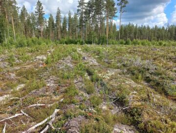 Etelä-Pohjanmaalla myyty tila on valtaosin kuivaa tai kuivahkoa kangasmaata ja taimikoiden osuus on runsas neljännes. Kauppahinta jäi hiukan alle maakunnan keskihinnoista. (Kuvaaja: Esa Kuoppala)