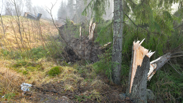 Yksittäisiin tuulenkaatoihin ei vakuutuksella kannata varautua, myrskytuhoihin sen sijaan kyllä. (Kuvaaja: Juha Sinisalo)