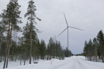 Metsänomistaja voi saada maanvuokratuloja esimerkiksi tuulivoimayhtiöiltä. (Kuvaaja: Sami Karppinen)