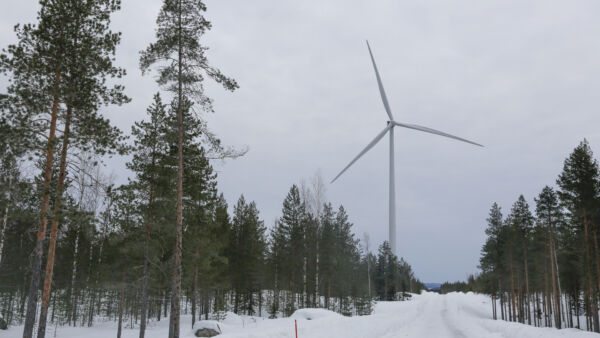 Metsänomistaja voi saada maanvuokratuloja esimerkiksi tuulivoimayhtiöiltä. (Kuvaaja: Sami Karppinen)