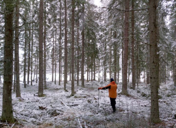 Tilan noin 13 hehtaarista on metsää 7, peltoa 5 ja muuta maata yksi hehtaari.  (Kuvaaja: Hannu Liljeroos)