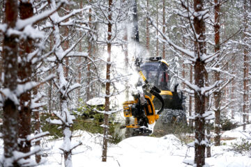 Aiemmasta poiketen nyt myös harvennuskuitupuun hinta houkuttaa metsänomistajia puukaupoille. Moni harvemmin puuta myyvä on yllättynyt kuluvan vuoden aikana tarjotuista pystyhinnoista. (Kuvaaja: Sami Karppinen)