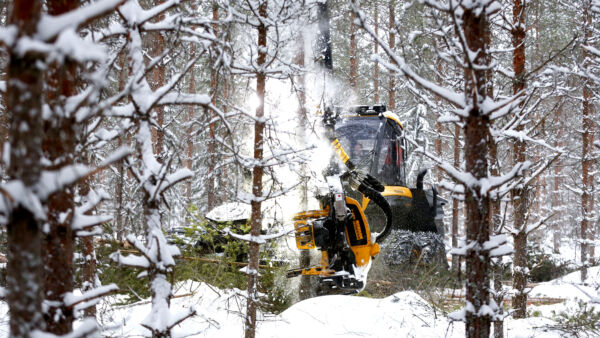 Aiemmasta poiketen nyt myös harvennuskuitupuun hinta houkuttaa metsänomistajia puukaupoille. Moni harvemmin puuta myyvä on yllättynyt kuluvan vuoden aikana tarjotuista pystyhinnoista. (Kuvaaja: Sami Karppinen)