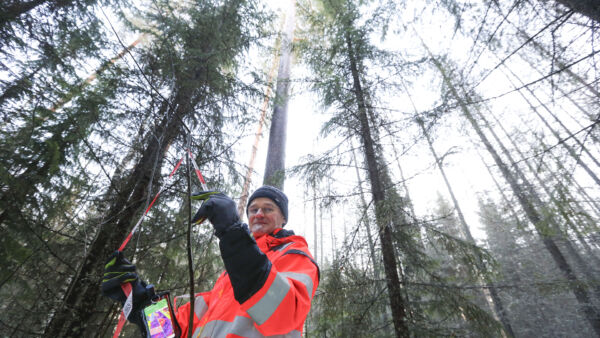 Jyväskyläläiselle Pekka Noposelle kertyy työpäivän aikana tyypillisesti 20 000–30 000 askelta. Se takaa, että aktiivisen kilpasuunnistajan peruskunto pysyy hyvällä tasolla.  (Kuvaaja: Sami Karppinen)