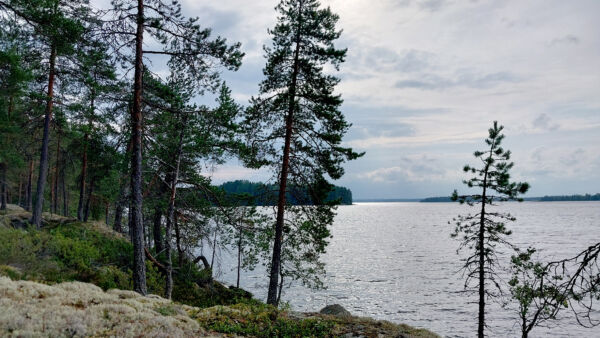 Rantaviivaa voi tilalla olla pitkästikin, mutta se ei automaattisesti tarkoita rantarakentamisoikeutta. (Kuvaaja: Juha Karppinen)