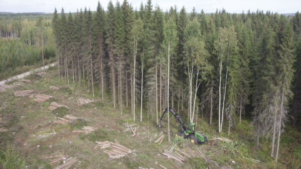 Suomessa tehtävien avohakkuiden keskikoko on parin hehtaarin luokkaa. Pohjoisessa aukkojen keskikoko on tyypillisesti etelää isompi ja yhtiöiden mailla suurempi kuin yksityisten mailla. Metsäyhtiöistä suurimman keskimääräisen avohakkuualan koon ilmoittaa Stora Enso, noin kolme hehtaaria. (Kuvaaja: Sami Karppinen)