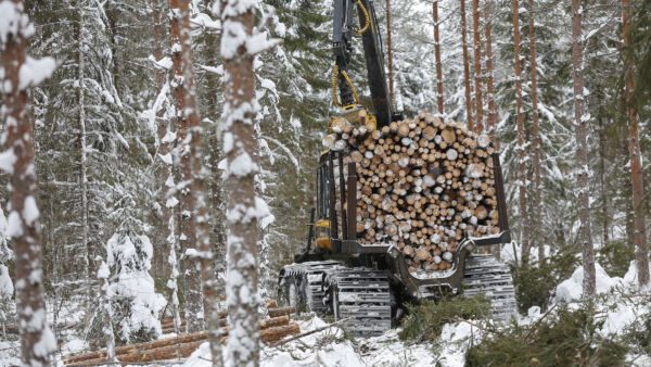 Lumi- ja routakerrokset ovat tänä talvena poikkeuksellisen ohuet suuressa osassa maata.  (Kuvaaja: Sami Karppinen)