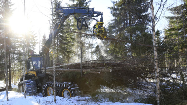 Energiapuun menekki sakkaa lämpimän syksyn ja talven takia nyt pahasti. Varastot täyttyvät vauhdilla, mikä heijastuu jo toimijoiden ostohaluihin. Energiapuuleimikoita käännetään nyt myös kuitupuukorjuuseen. (Kuvaaja: Sami Karppinen)