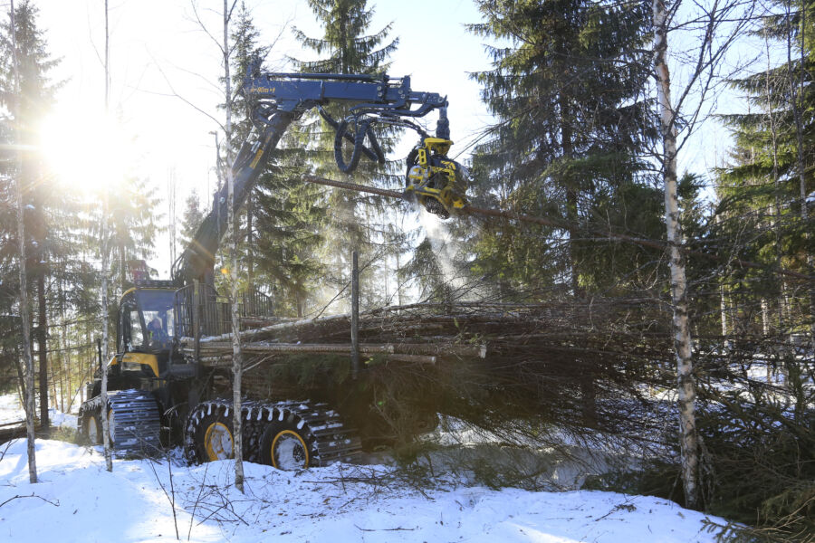 Energiapuun menekki sakkaa lämpimän syksyn ja talven takia nyt pahasti. Varastot täyttyvät vauhdilla, mikä heijastuu jo toimijoiden ostohaluihin. Energiapuuleimikoita käännetään nyt myös kuitupuukorjuuseen. (Kuvaaja: Sami Karppinen)