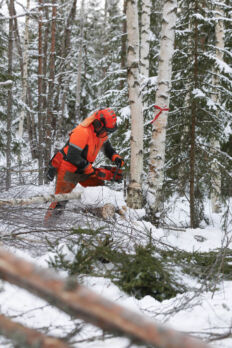 Husqvarna 540 XP:n leikkuuteho on joukon paras, mutta saha kärsii hakkuutyöhön huonosti sopivasta terävarustuksesta.  (Kuvaaja: Sami Karppinen)