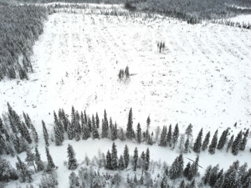 Metsälehti vieraili Hukkajoella tammikuussa. Kuvan yläosassa näkyy hakattu leimikkoa, jonka kokonaisuuruus olisi ollut noin 50 hehtaaria. Alaosassa virtaa Hukkajoki, jonka varteen on jätetty puita suojakaistaksi. Kohuttu joenylityspaikka näkyy kuvan vasemmassa alareunassa. (Kuvaaja: Sami Karppinen)