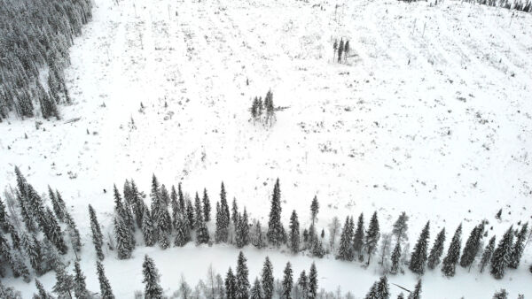 Metsälehti vieraili Hukkajoella tammikuussa. Kuvan yläosassa näkyy hakattu leimikkoa, jonka kokonaisuuruus olisi ollut noin 50 hehtaaria. Alaosassa virtaa Hukkajoki, jonka varteen on jätetty puita suojakaistaksi. Kohuttu joenylityspaikka näkyy kuvan vasemmassa alareunassa. (Kuvaaja: Sami Karppinen)