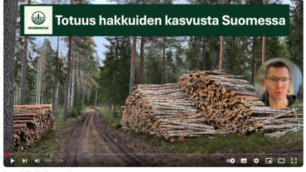 Metsänomistaja Tapio Haarlaa tarkasteli Youtube-videollaan hakkuumääriä ja puuston kasvua.