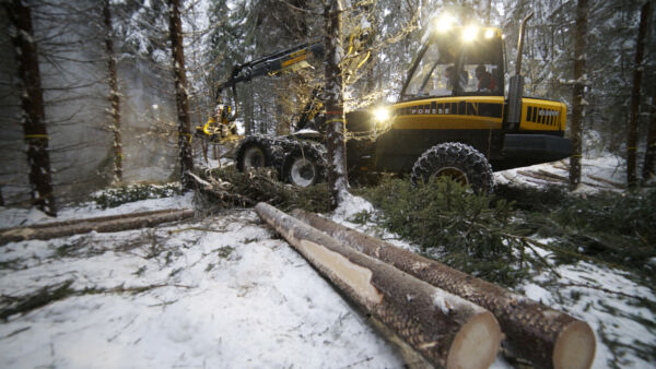 Puuta on päästy eteläisessä Suomessa korjaamaan tänä talvena vain helpoimmista talvileimikoista. (Kuva: Mikko Riikilä)