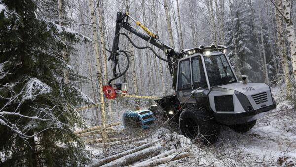 Kuitupuiden keskimääräiset  hankintahinnat ovat kivunneet alkuvuodesta yli 53 euroon. Se tarkoittaa, että metsänomistajalle jää usein asiallinen tulo pienelläkin korjuukalustolla tehdystä työstä. (Kuvaaja: Sami Karppinen)