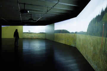 Siikanevan suolla Ruovedellä kuvattu Kun puut vaeltavat -videoteos esittää vuodenkiertoa. (Kuvaaja: Seppo Samuli)