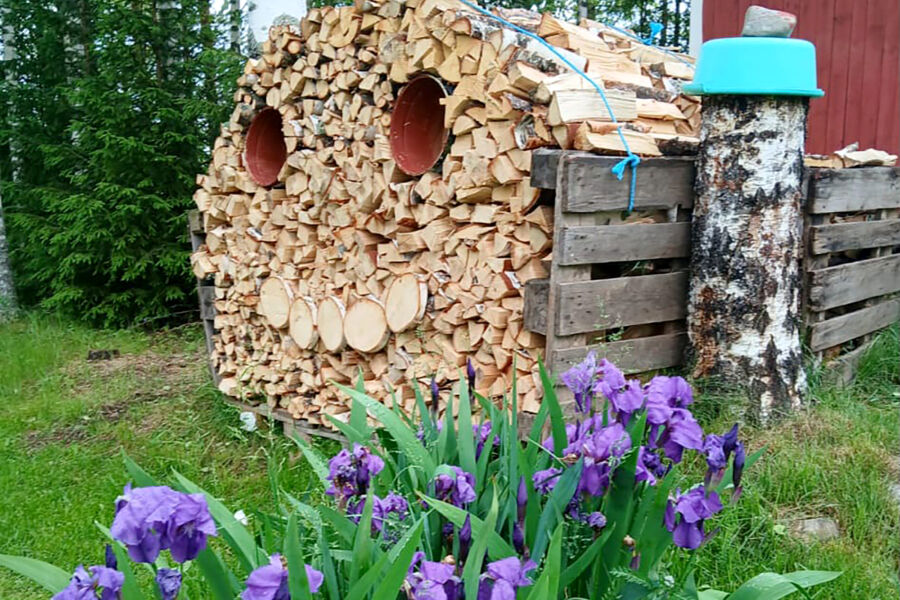 Veli Pylkkösen polttopuupinolle oli askarreltu kasvot. (Kuvaaja: Veli Pylkkönen)